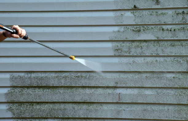 Best Residential Mold Removal  in Eastmont, WA
