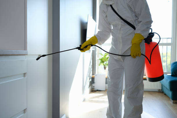 Best Mold Testing  in Eastmont, WA