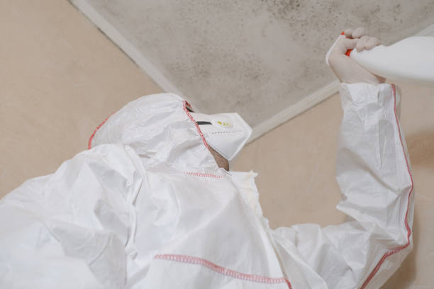 Best Fast Mold Removal  in Eastmont, WA